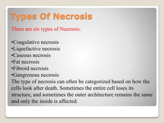 Types Of Necrosis
There are six types of Necrosis:
•Coagulative necrosis
•Liquefactive necrosis
•Caseous necrosis
•Fat necrosis
•Fibroid necrosis
•Gangrenous necrosis
The type of necrosis can often be categorized based on how the
cells look after death. Sometimes the entire cell loses its
structure, and sometimes the outer architecture remains the same
and only the inside is affected.
 