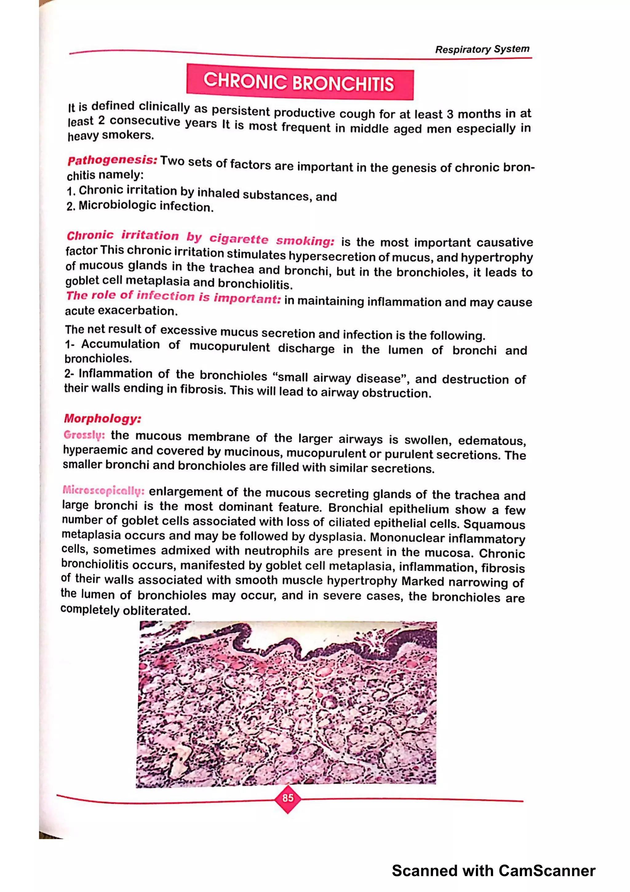 Scanned with CamScanner