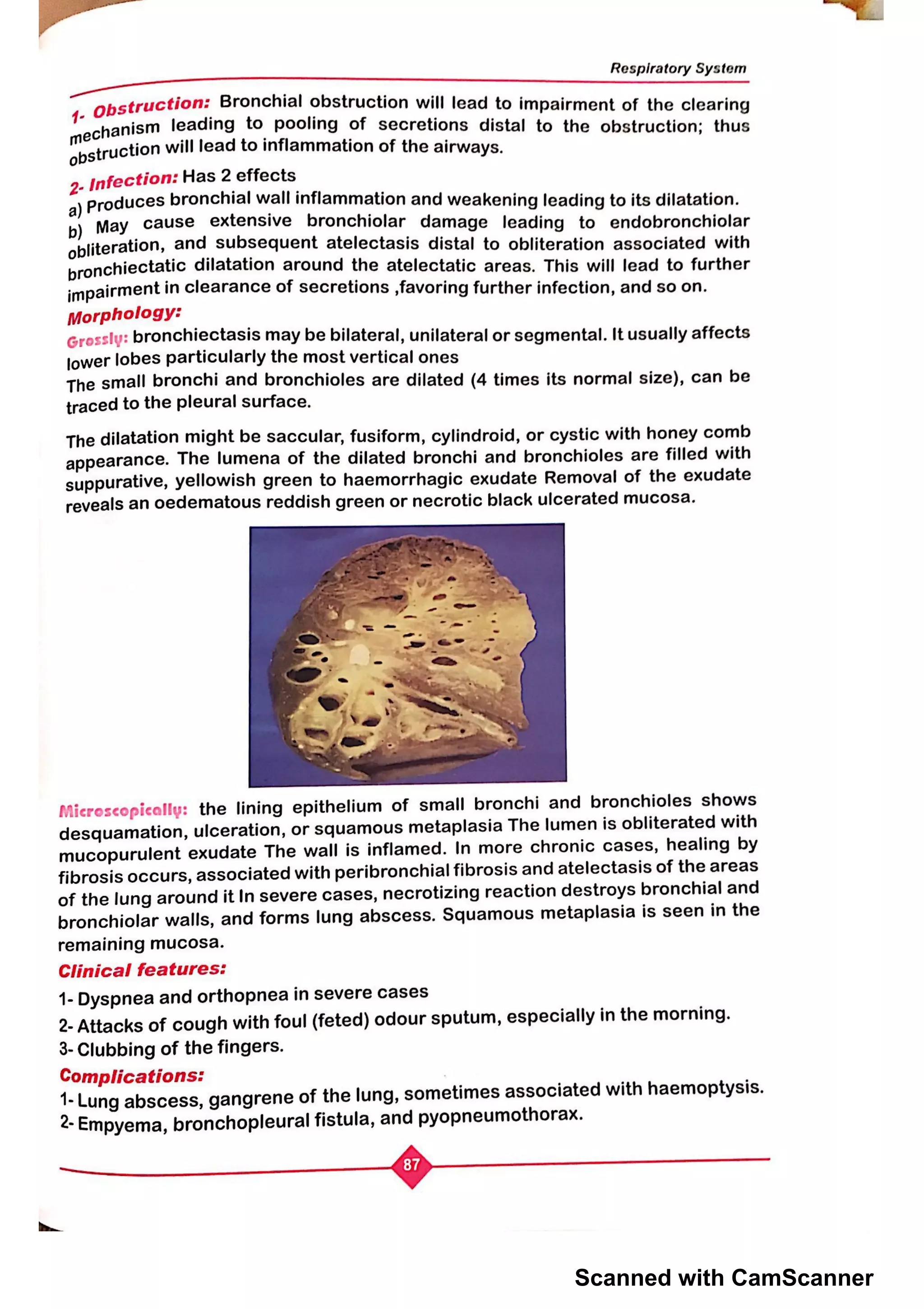 Scanned with CamScanner