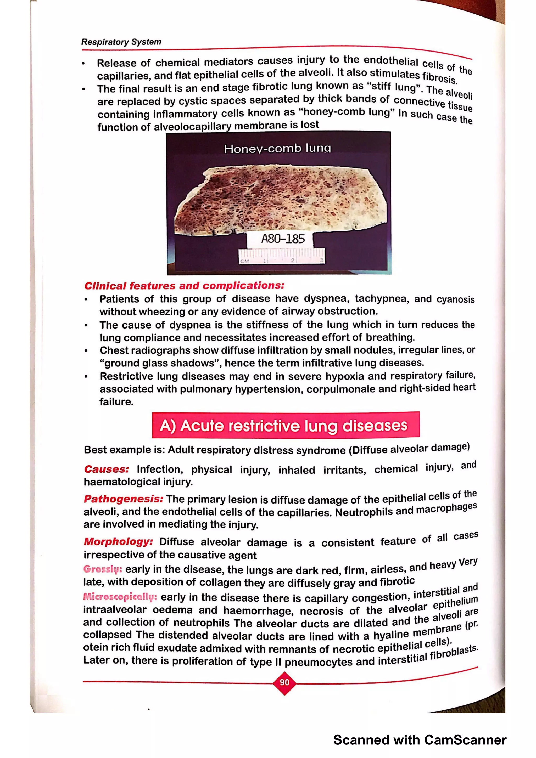 Scanned with CamScanner