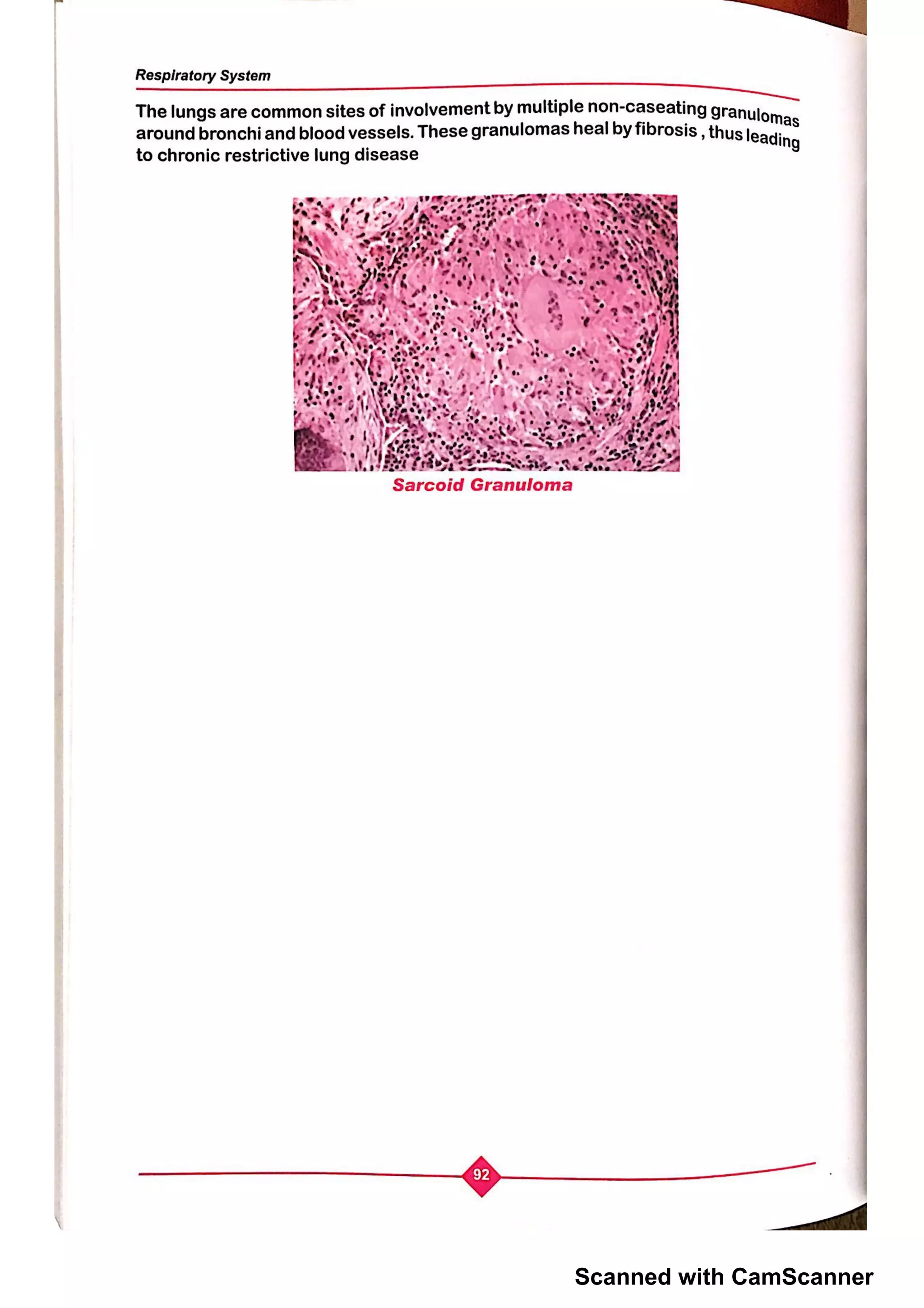 Scanned with CamScanner