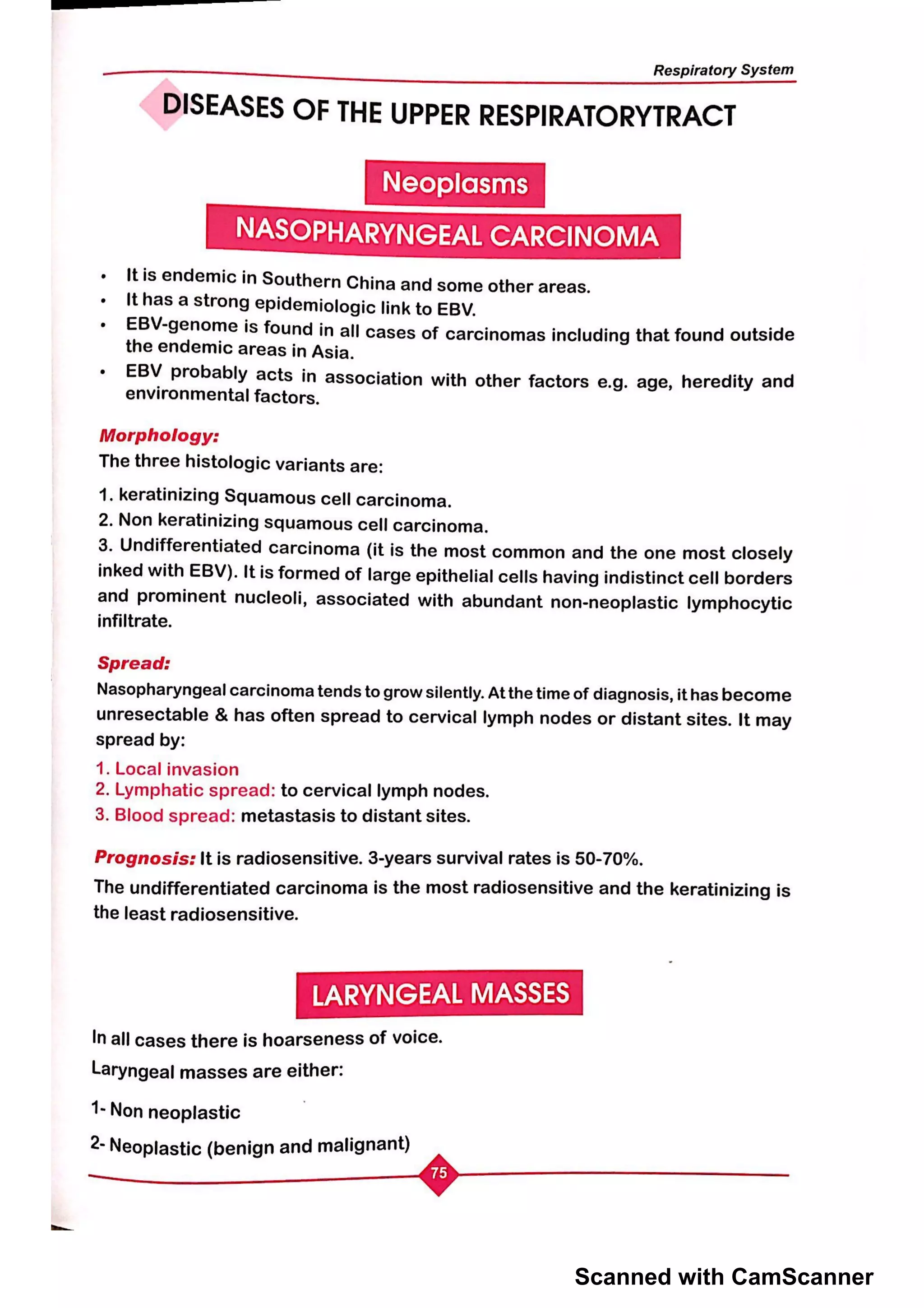 Scanned with CamScanner