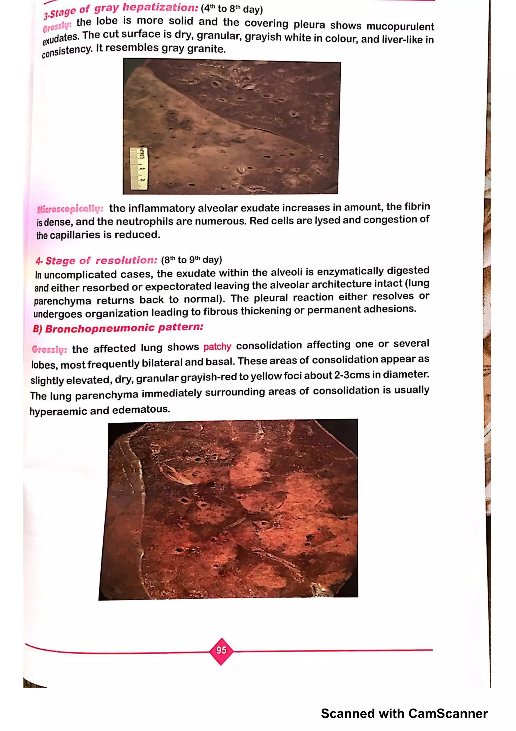 Scanned with CamScanner