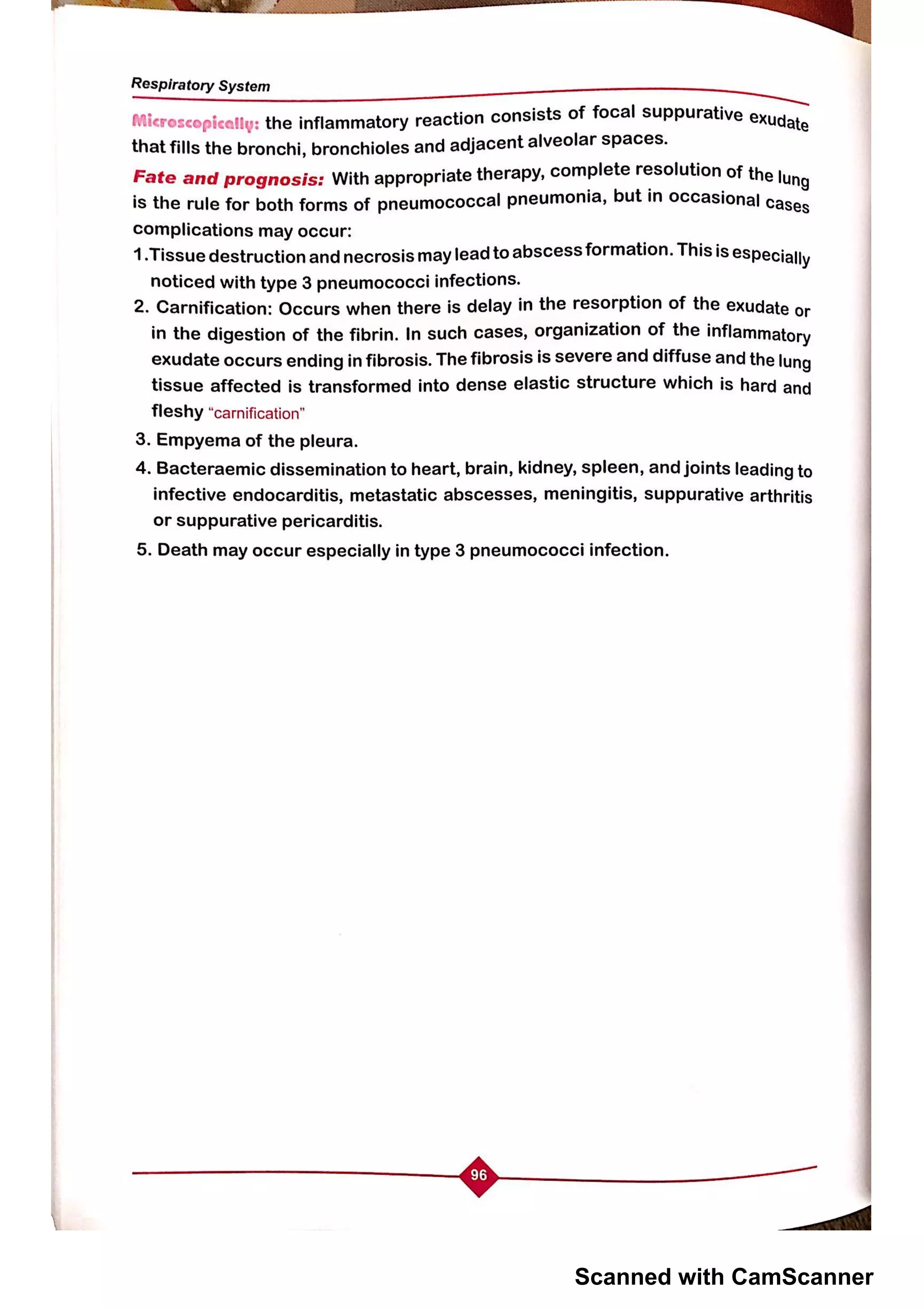 Scanned with CamScanner