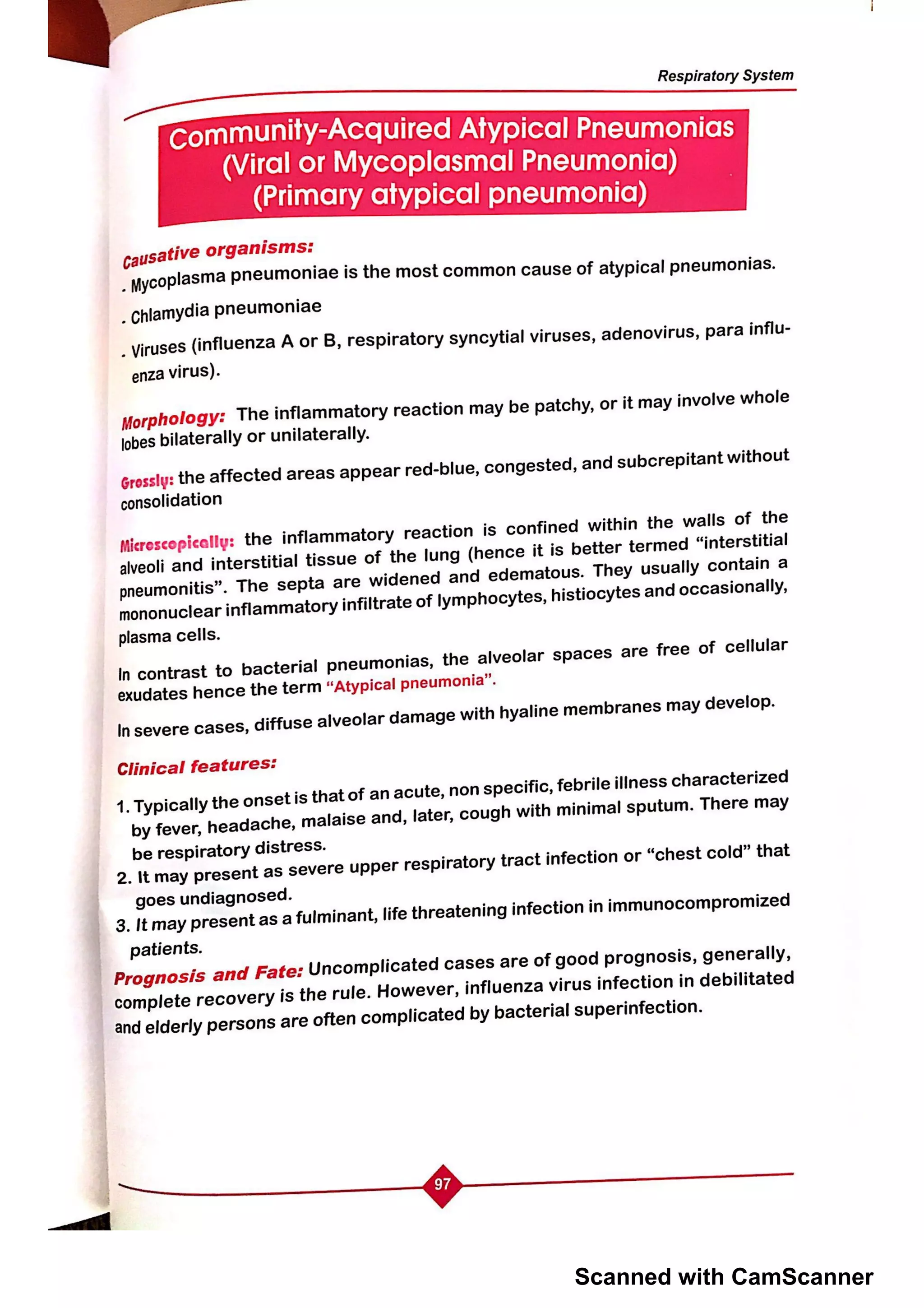 Scanned with CamScanner