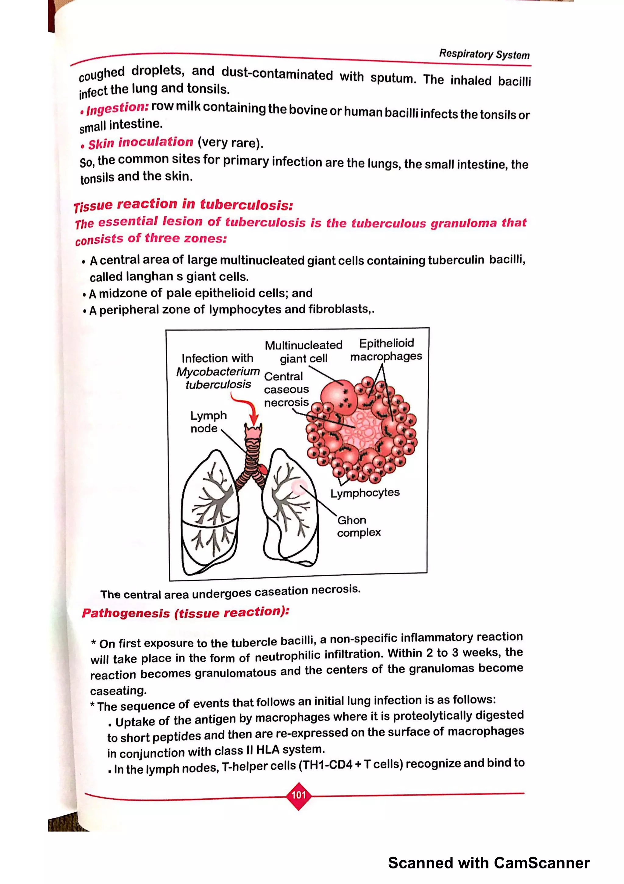 Scanned with CamScanner
