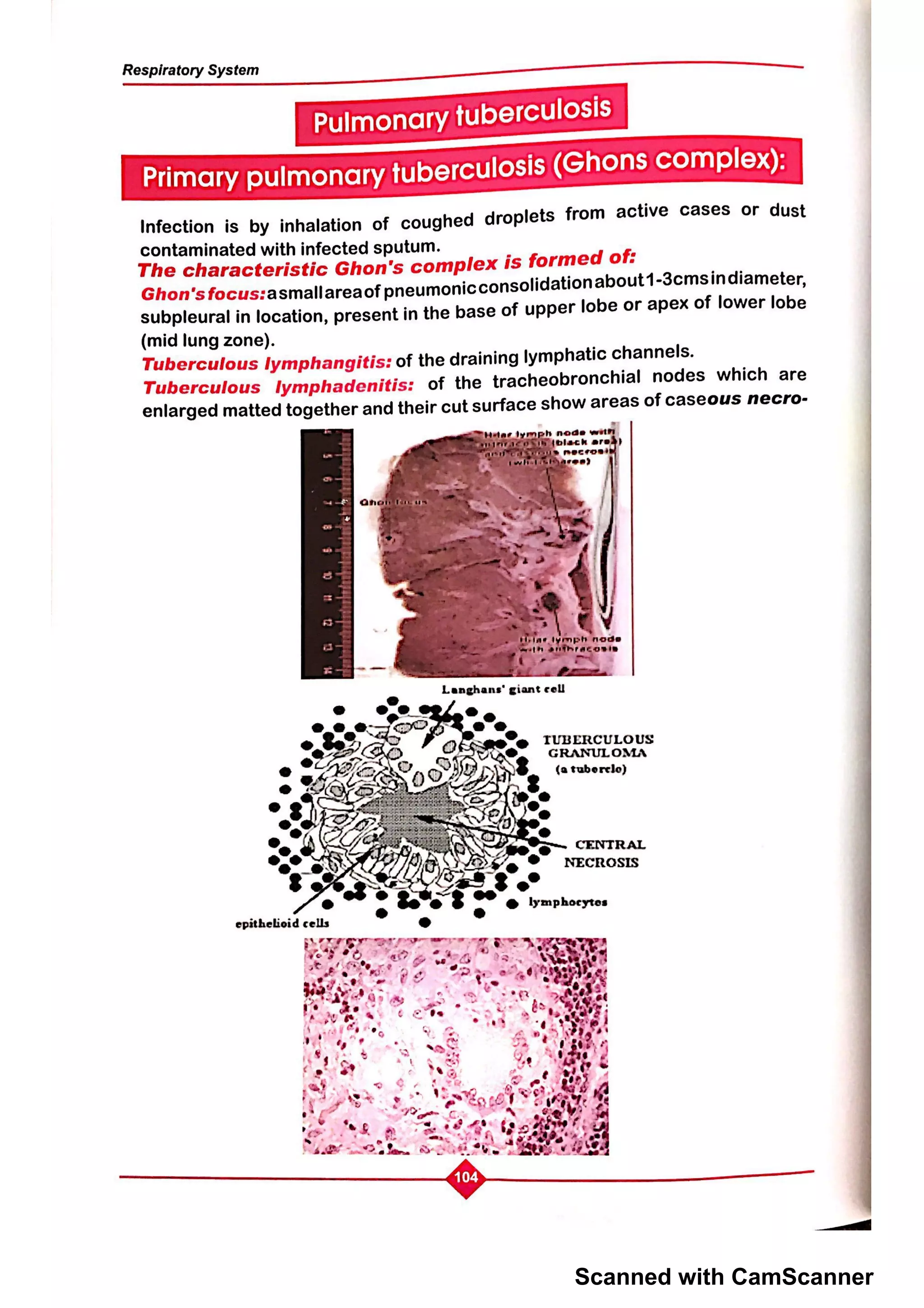 Scanned with CamScanner