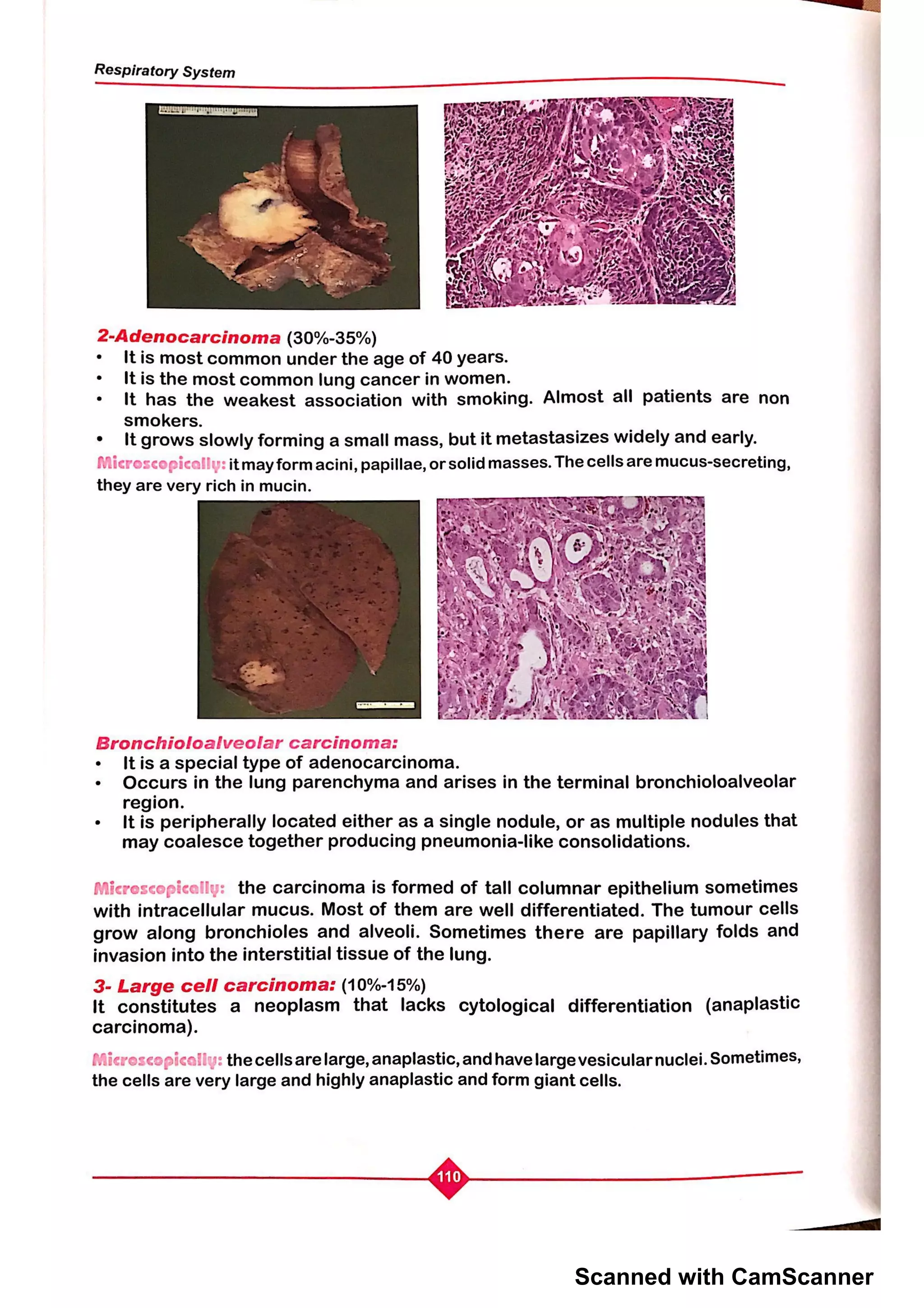 Scanned with CamScanner