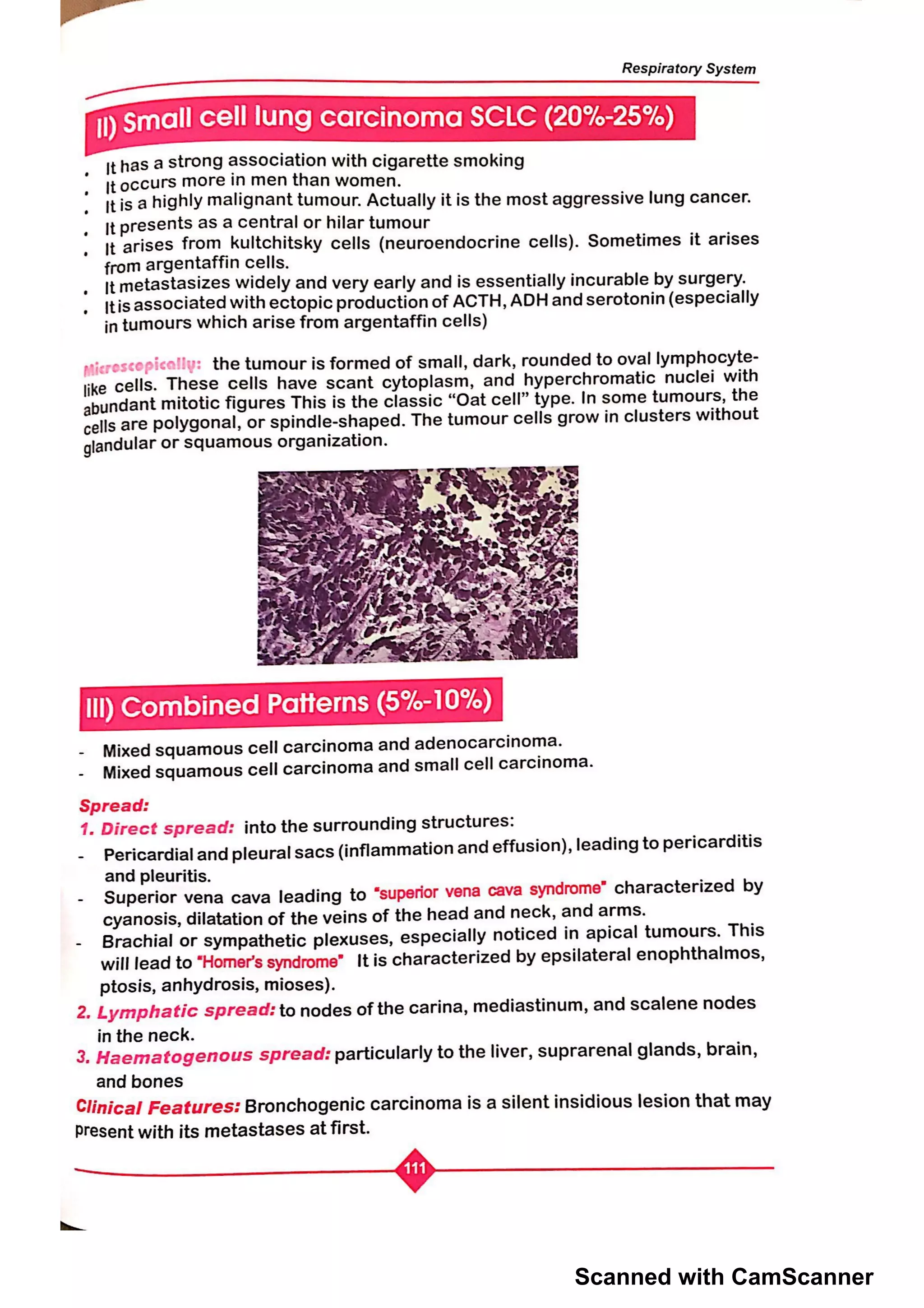 Scanned with CamScanner