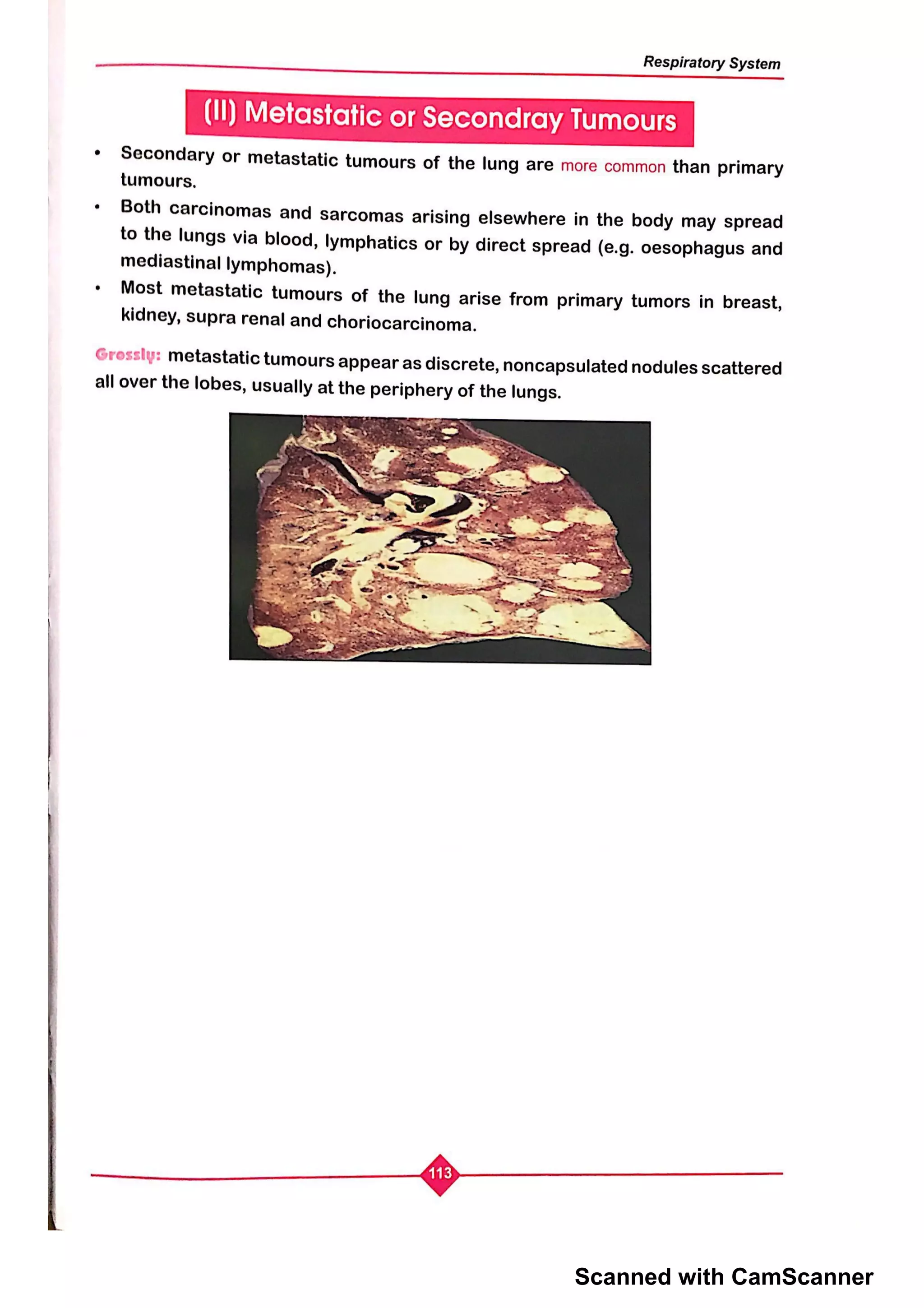 Scanned with CamScanner