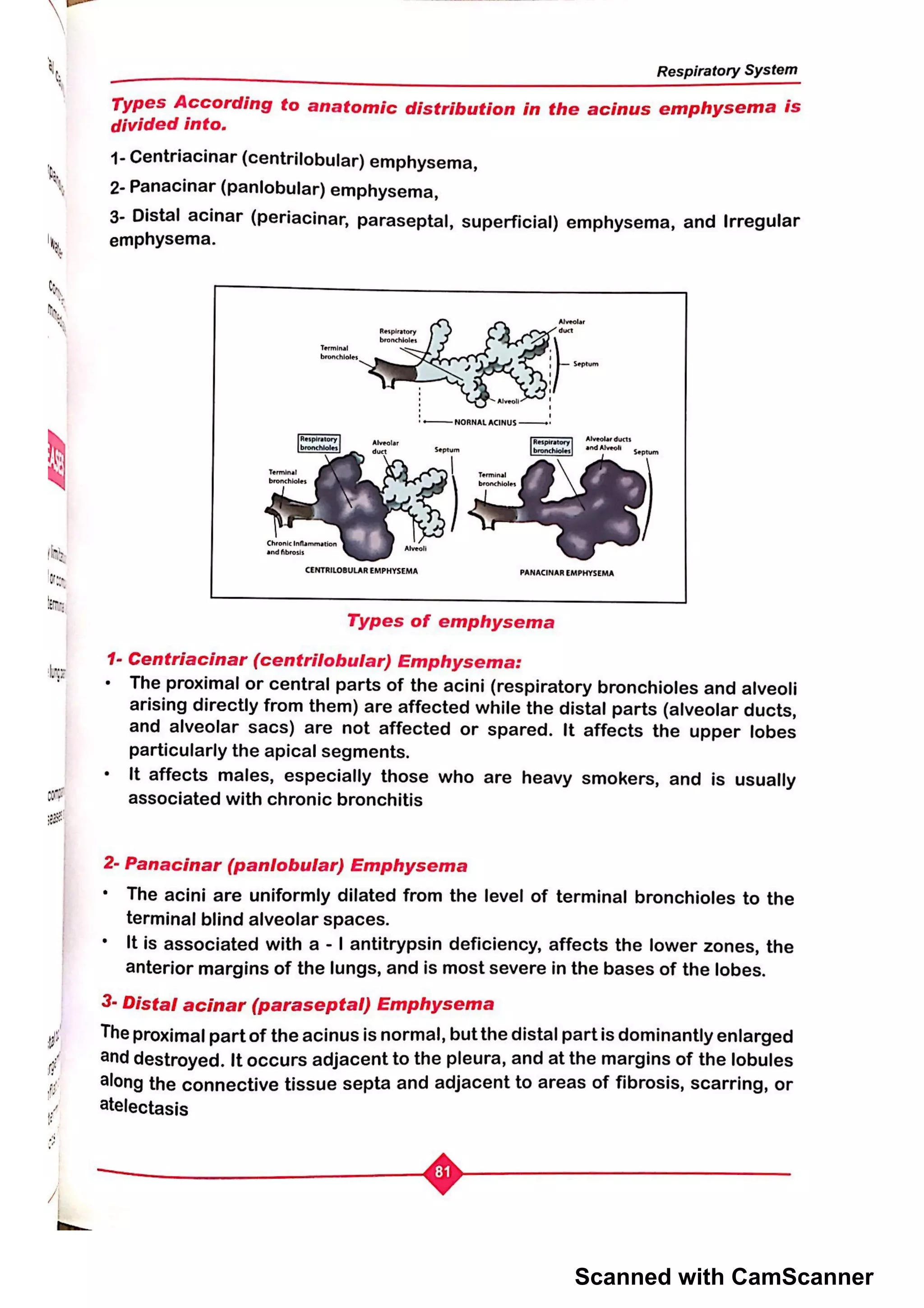 Scanned with CamScanner