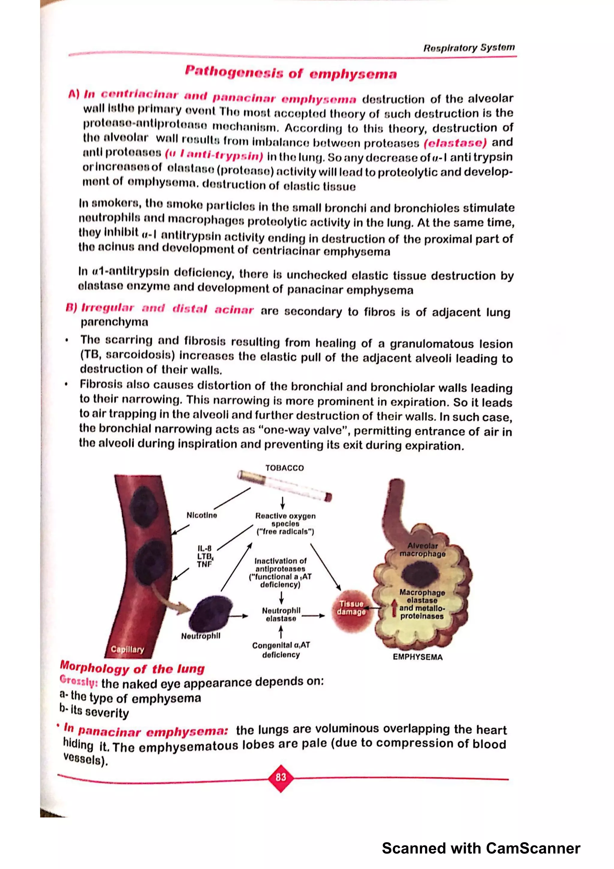 Scanned with CamScanner