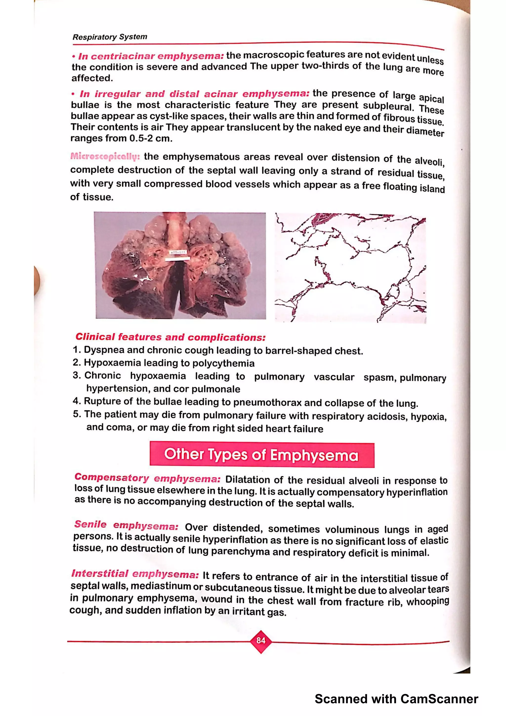 Scanned with CamScanner