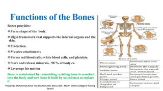 Bone Roles patho orthopedic nursing.pptx