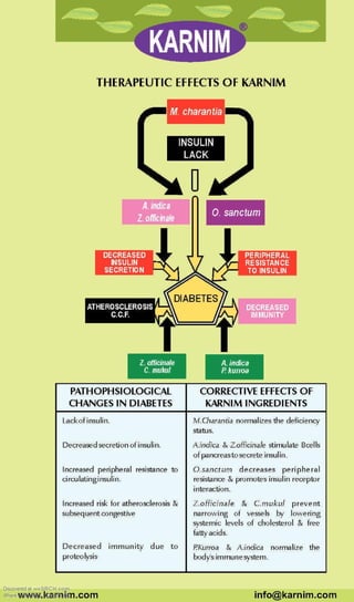 Pathophsiological Changes In Diabetes | Karnim