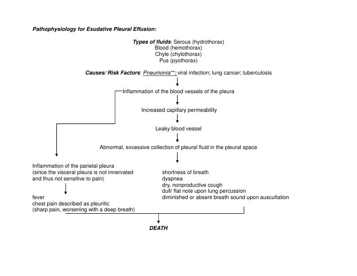 Pathophysiology Of Pleural Effusion In Flow Chart