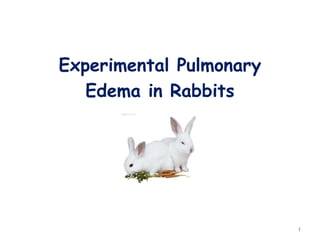 Experimental Pulmonary
Edema in Rabbits
1
 