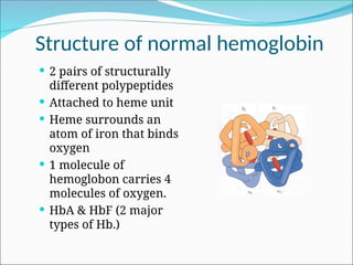 Hba Structure Comprehensive Overview of Hematological Disorders and Anemia ...