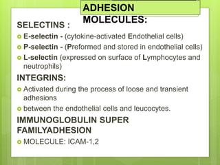 Pathophysiology-Unit 2.pptx