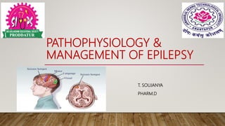 PATHOPHYSIOLOGY &
MANAGEMENT OF EPILEPSY
T. SOUJANYA
PHARM.D
 