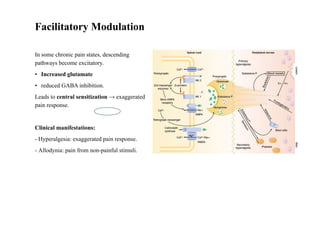 Pathophysiology and Pharmacotherapy of Acute & Chronic pain.pptx.pdf