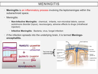 MENINGITIS
• Meningitis is an inflammatory process involving the leptomeninges within the
subarachnoid space.
• Meningitis:
• Non-Infective Meningitis: chemical, irritants, non-microbial debris, cancer,
autoiimune disorder (lupus), neurosurgery, adverse effects to drugs (intrathecal
injection)
• Infective Meningitis: Bacteria, virus, fungal infection
• if the infection spreads into the underlying brain, it is termed Meningo-
encephalitis.
Two inner layers
Leptomeninges
 