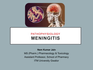 PATHOPHYSIOLOGY
MENINGITIS
Nem Kumar Jain
MS (Pharm.) Pharmacology & Toxicology
Assistant Professor, School of Pharmacy
ITM University Gwalior
 