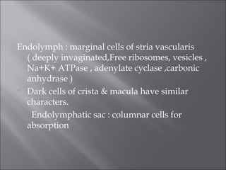 Endolymph : marginal cells of stria vascularis
( deeply invaginated,Free ribosomes, vesicles ,
Na+K+ ATPase , adenylate cyclase ,carbonic
anhydrase )
 Dark cells of crista & macula have similar
characters.
 Endolymphatic sac : columnar cells for
absorption
 