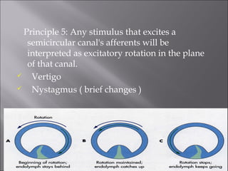 Principle 5: Any stimulus that excites a
semicircular canal's afferents will be
interpreted as excitatory rotation in the plane
of that canal.
 Vertigo
 Nystagmus ( brief changes )
 