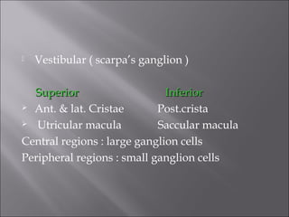  Vestibular ( scarpa’s ganglion )
SuperiorSuperior InferiorInferior
 Ant. & lat. Cristae Post.crista
 Utricular macula Saccular macula
Central regions : large ganglion cells
Peripheral regions : small ganglion cells
 