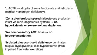 Comprehensive Overview of Adrenal Insufficiency Pathophysiology and ...