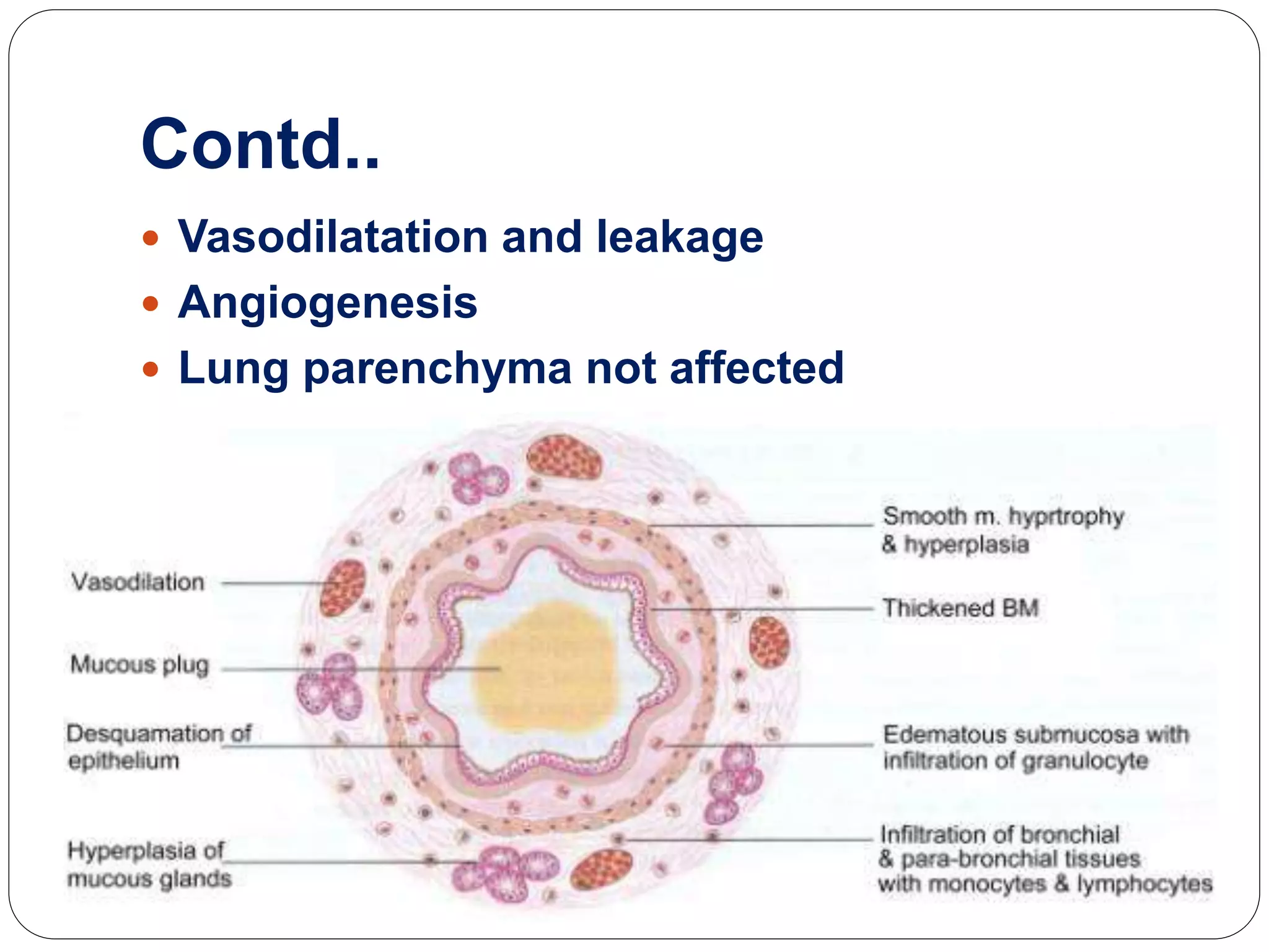 Contd..
 Vasodilatation and leakage
 Angiogenesis
 Lung parenchyma not affected
 
