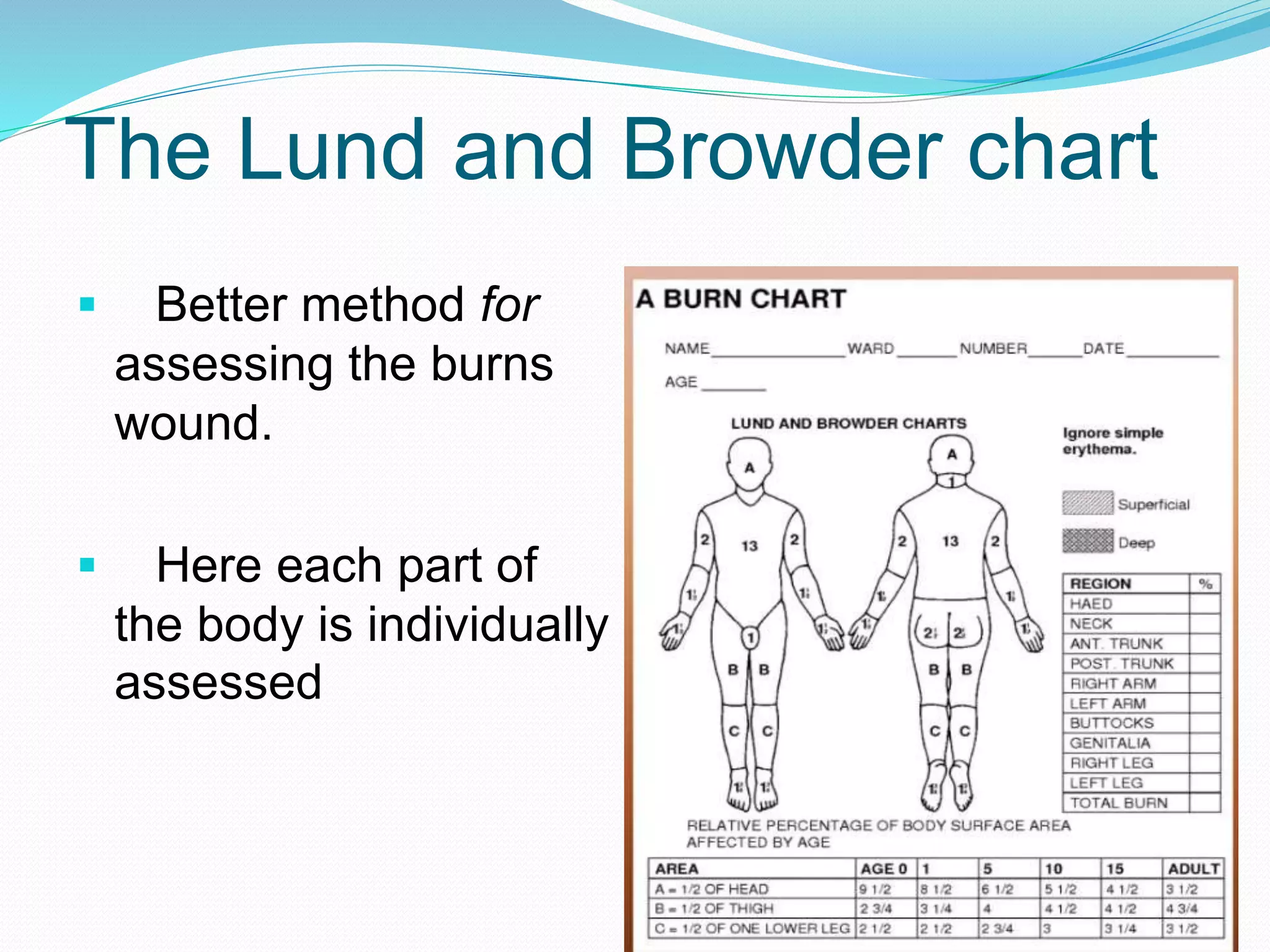 Pathophysiology of burns | PPTX