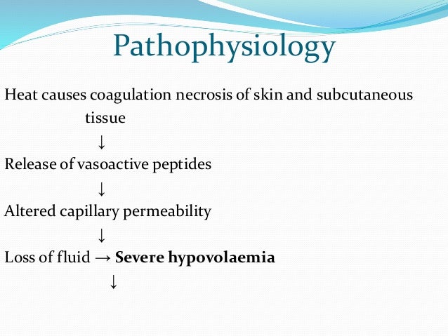 pathophysiology of burns 19 638