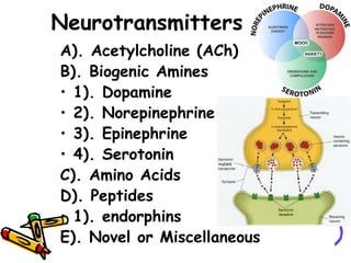 Neurotransmitters
A). Acetylcholine (ACh)
B). Biogenic Amines
• 1). Dopamine
• 2). Norepinephrine
• 3). Epinephrine
• 4). Serotonin
C). Amino Acids
D). Peptides
• 1). endorphins
E). Novel or Miscellaneous
 