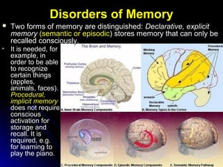 Disorders of MemoryDisorders of Memory
• It is needed, for
example, in
order to be able
to recognize
certain things
(apples,
animals, faces).
Procedural,
implicit memory
does not require
conscious
activation for
storage and
recall. It is
required, e.g.
for learning to
play the piano.
 Two forms of memory are distinguished:Two forms of memory are distinguished: Declarative, explicitDeclarative, explicit
memorymemory (semantic or episodic(semantic or episodic) stores memory that can only be) stores memory that can only be
recalled consciously.recalled consciously.
 