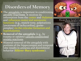 The amygdala is important in conditioning
anxiety reactions. It receives its
information from the cortex and thalamus
and influences motor and autonomic
functions (e.g., muscle tone, palpitations
[awareness of tachycardias], goose-
pimples) via the reticular formation and
hypothalamus.
Removal of the amygdala (e.g., by
trauma or opiates) cancels conditioned
anxiety reactions.
Bilateral removal of the amygdala with
portions of the hippocampus and temporal
lobe results in amnesia and disinhibited
behavior (Klüver–Bucy syndrome).
 