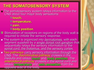 THE SOMATOSENSORY SYSTEMTHE SOMATOSENSORY SYSTEM
■■ The somatosensory system relays information to theThe somatosensory system relays information to the
CNS about four major body sensations:CNS about four major body sensations:
touch,touch,
temperature,temperature,
pain,pain,
body positionbody position..
Stimulation of receptorsStimulation of receptors on regions of the body wall ison regions of the body wall is
required torequired to initiate the sensory response.initiate the sensory response.
■■ The system is organized intoThe system is organized into dermatomesdermatomes, with each, with each
segment supplied by asegment supplied by a single dorsal root ganglionsingle dorsal root ganglion thatthat
sequentially relays the sensory information tosequentially relays the sensory information to thethe
spinal cord, the thalamus, and the sensoryspinal cord, the thalamus, and the sensory cortexcortex..
■■ Two pathwaysTwo pathways carry sensory information throughcarry sensory information through thethe
CNSCNS. The. The discriminative pathwaydiscriminative pathway crosses in thecrosses in the
medulla and relaysmedulla and relays touchtouch andand body positionbody position. The. The
anterolateral pathwayanterolateral pathway crosses in the spinal cordcrosses in the spinal cord andand
relaysrelays temperaturetemperature andand pain sensationpain sensation fromfrom thethe
opposite side of the body.opposite side of the body.
 