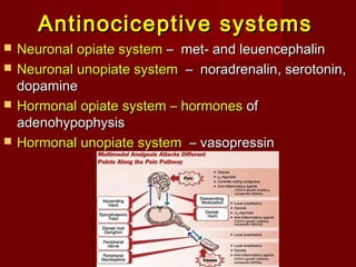 Antinociceptive systemsAntinociceptive systems
 NeuronalNeuronal opiate systemopiate system –– metmet-- and leuencephalinand leuencephalin
 NeuronalNeuronal unopiate systemunopiate system –– noradrenalinnoradrenalin,, serotoninserotonin,,
dopaminedopamine
 HormonalHormonal opiate systemopiate system –– hormoneshormones ofof
adenohypophysisadenohypophysis
 HormonalHormonal unopiate systemunopiate system –– vasopressinvasopressin
 