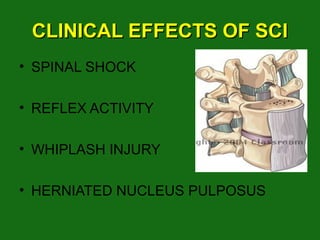 CLINICAL EFFECTS OF SCICLINICAL EFFECTS OF SCI
• SPINAL SHOCK
• REFLEX ACTIVITY
• WHIPLASH INJURY
• HERNIATED NUCLEUS PULPOSUS
 