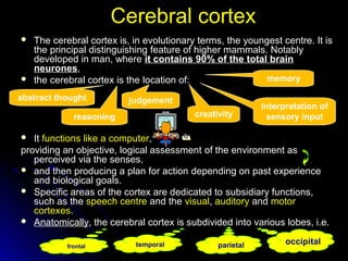 Cerebral cortexCerebral cortex
 The cerebral cortex is, in evolutionary terms, the youngest centre. It is
the principal distinguishing feature of higher mammals. Notably
developed in man, where it contains 90% of the total brain
neurones,
 the cerebral cortex is the location of:
 It functions like afunctions like a computercomputer,
providing an objective, logical assessment of the environment as
perceived via the senses,
 and then producing a plan for action depending on past experience
and biological goals.
 Specific areas of the cortex are dedicated to subsidiary functions,
such as the speech centre and the visual, auditory and motor
cortexes.
 Anatomically, the cerebral cortex is subdivided into various lobes, i.e.
abstract thought judgement
reasoning
memory
interpretation of
sensory inputcreativity
frontal temporal parietal occipital
 