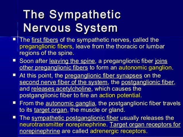 Pathophysiology Of Cns