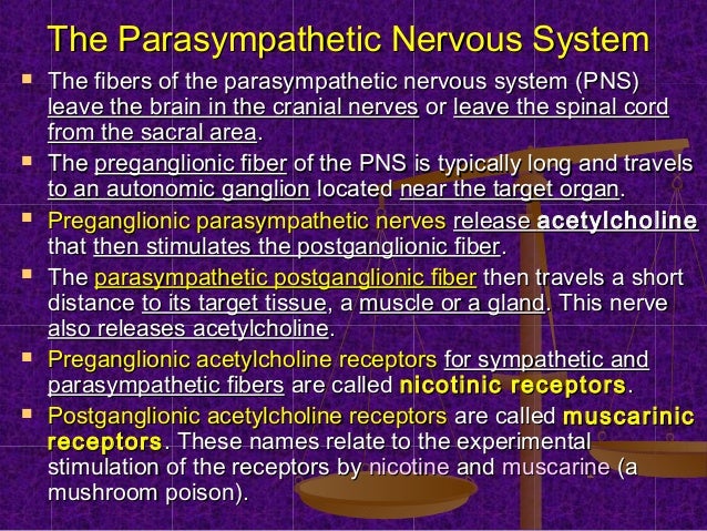 Pathophysiology Of Cns