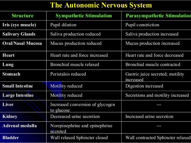 Pathophysiology Of Cns