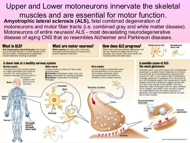 Pathophysiology Of Cns