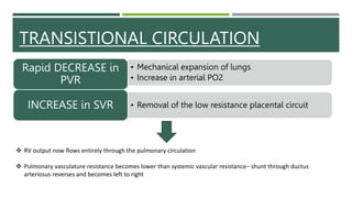 Increased Svr PATHOPHYSIOLOGY OF CONGENITAL CYANOTIC HEART DISEASE (2).pptx