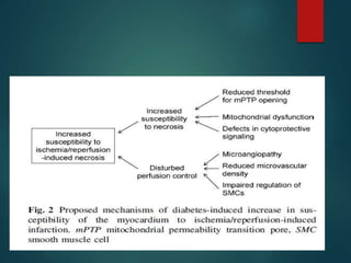 Pathophysiology of diabetic cardiomyopathy | PPTX
