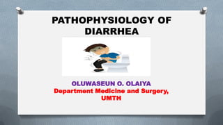 PATHOPHYSIOLOGY OF
DIARRHEA
OLUWASEUN O. OLAIYA
Department Medicine and Surgery,
UMTH
 