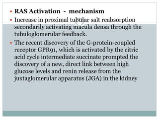 Pathophysiology of dibetic nephropathy | PPTX