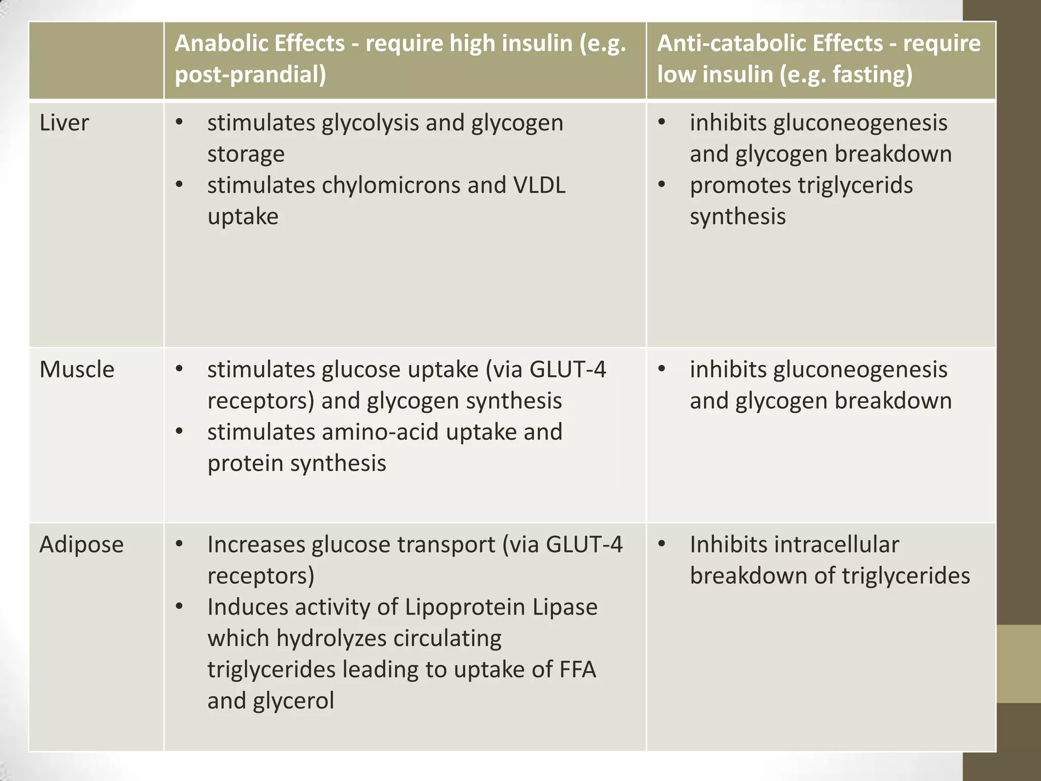 High basal cell surface levels of fish GLUT4 are related to reduced ...
